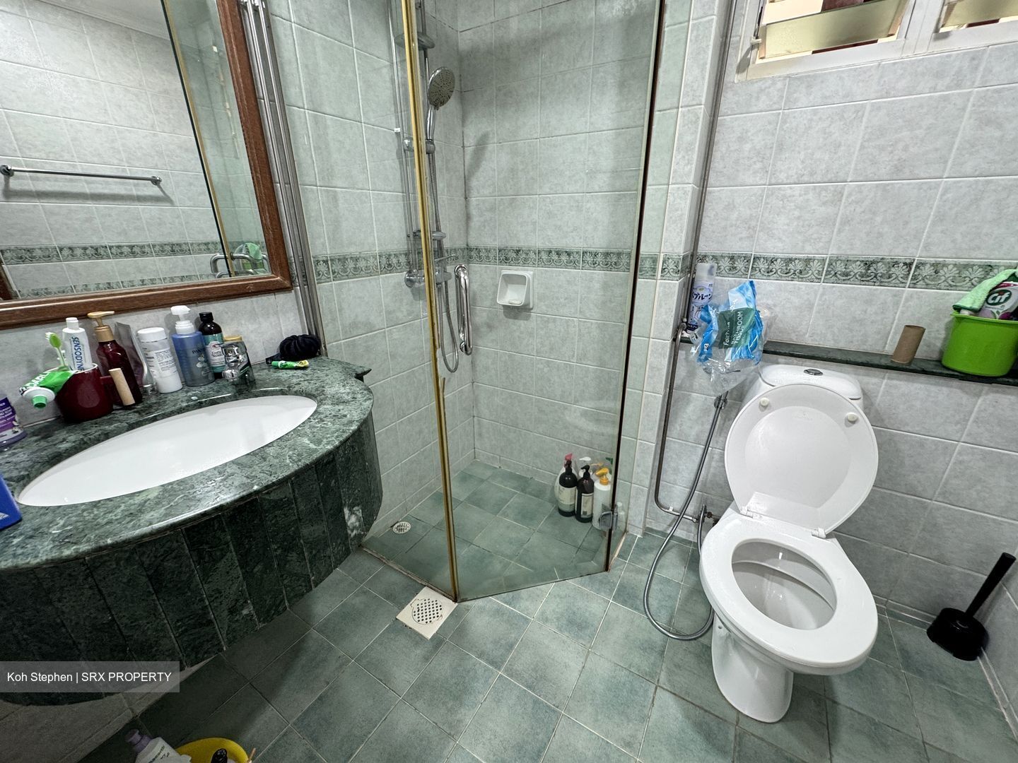Emerald Garden (D1), Condominium #461614691
